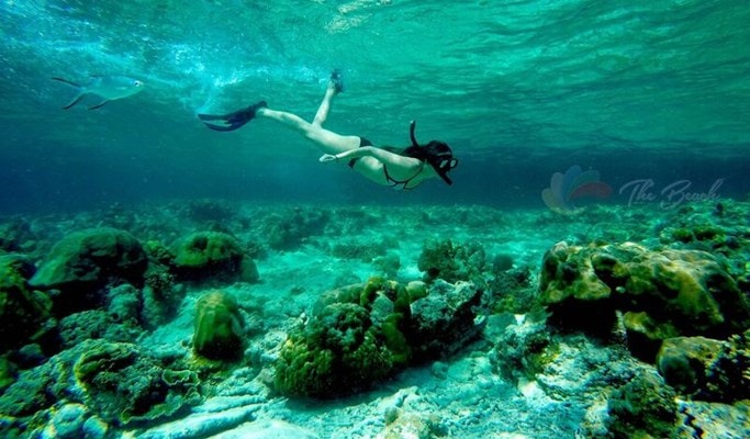 Phi Phi Islands 1 Day Sunrise Premium Tour by Speedboat (+Lunch/Snorkeling) - from Phuket