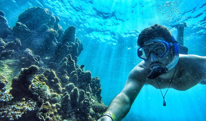 Phi Phi Islands Private Tour (+ Snorkeling) (+ Lunch option) by Long-tail Boat - from Phi Phi Don (Full Day / Half Day)