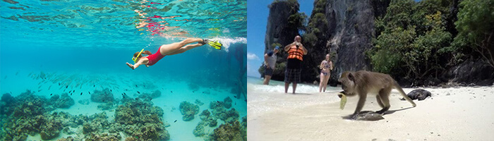 Phi Phi Islands & Khai Islands & Maiton Island 1 Day Snorkeling Tour ...