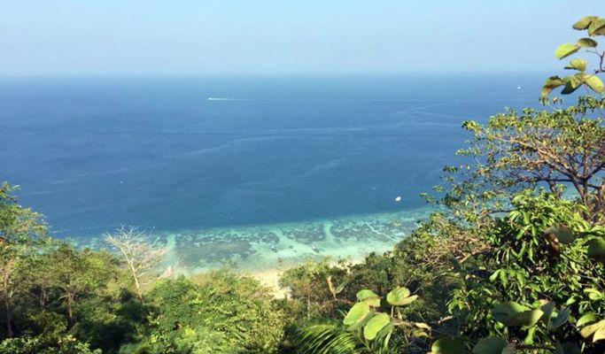 Antrek Phi Phi Don Island Trekking (+Dinner) - from Koh Phi Phi Don Island