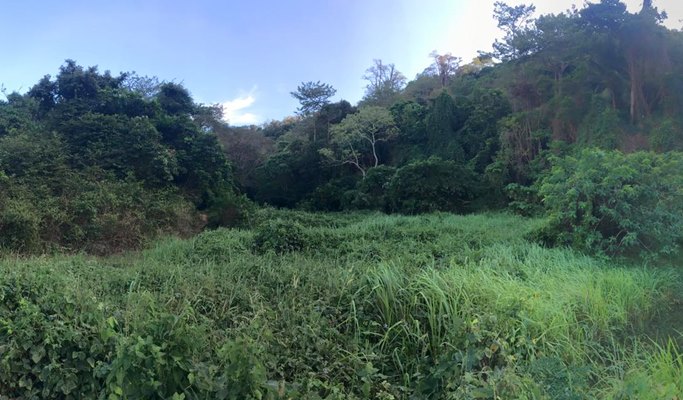 Antrek Phi Phi Don Island Trekking (+Dinner) - from Koh Phi Phi Don Island