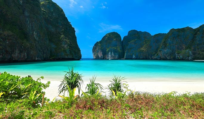 Phi Phi Islands + Bamboo Island 1 Day Tour by  Catamaran (+Lunch/Snorkeling) - from Phuket (+ Hotel Transfer)