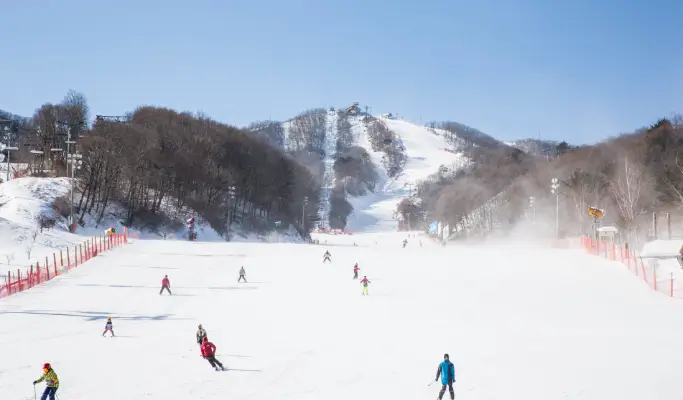 スキー/スノーボード/雪ソリ1日ツアー： フェニックス（Phoenix）パークスキーリゾート