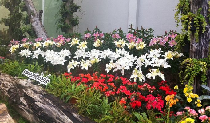Phuket Botanic Garden Discount Ticket