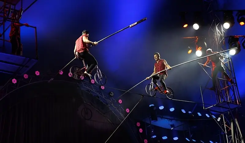 Phuket Circus Discount Ticket - view 2