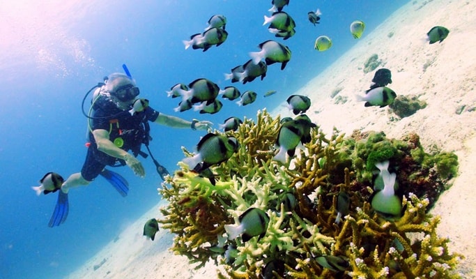 Phuket Daily Scuba Diving Tour (Licensed Divers Only)