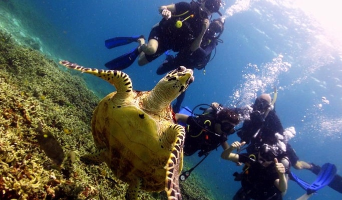 Phuket Daily Scuba Diving Tour (Licensed Divers Only)