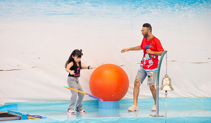 Phuket Dolphins Bay Show Discount Ticket