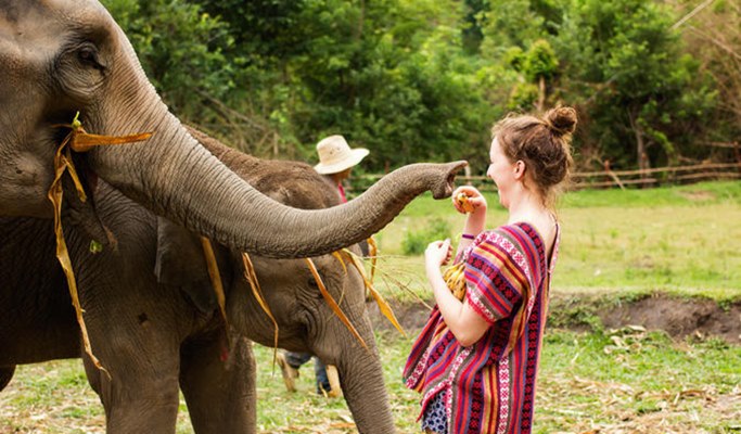 Phuket Elephant Sanctuary Visit (Half Day) - Trazy, Your Travel Shop for  Asia