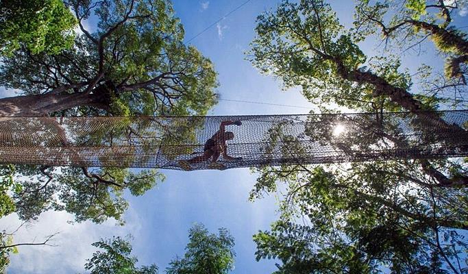Jungle Xtrem Adventure Park Discount Ticket (+Transfer)