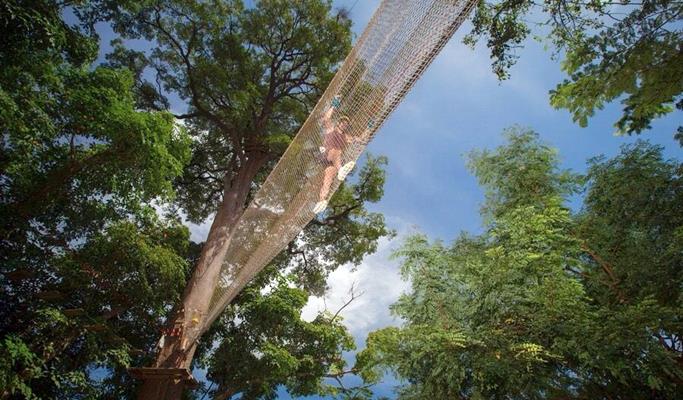 Jungle Xtrem Adventure Park Discount Ticket (+Transfer)