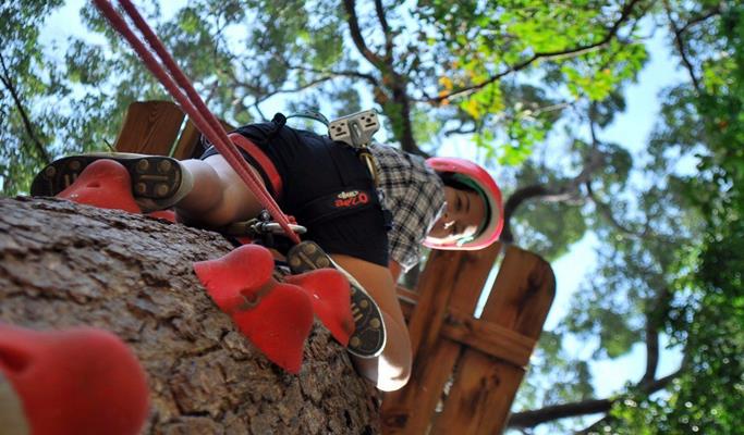 Jungle Xtrem Adventure Park Discount Ticket (+Transfer)