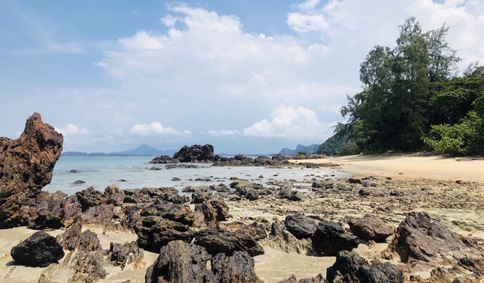 Koh Libong 1 Day Tour by Long-tail Boat (+ Motorcycle Sidecar Ride/Lunch) (+ Transfer option)