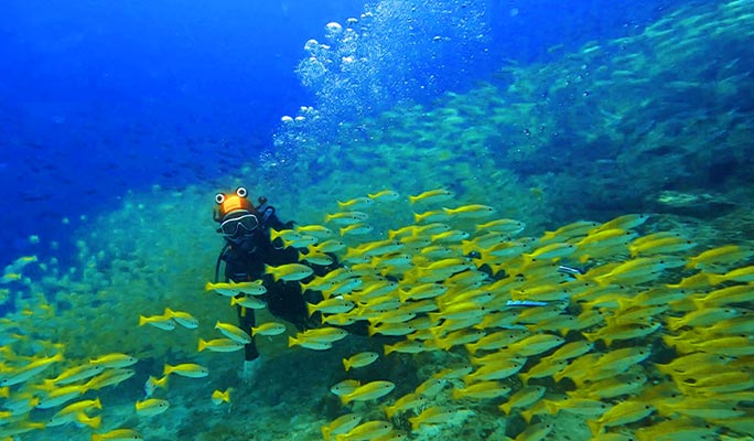 Phuket Scuba Diving Tour (+ Hotel Transfer)