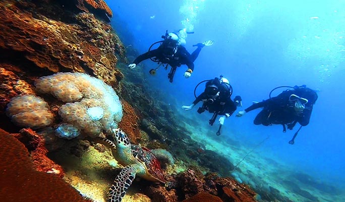 Phuket Scuba Diving Tour (+ Hotel Transfer)