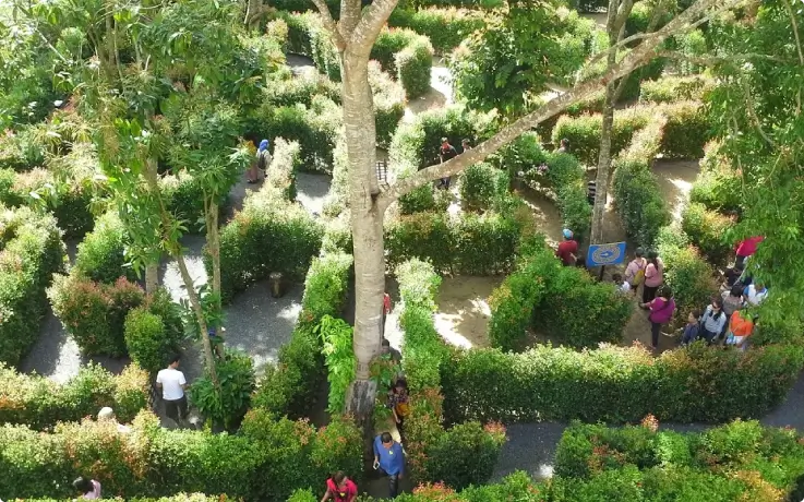 Visitors navigating the lush green garden maze at Baan Teelanka, Phuket