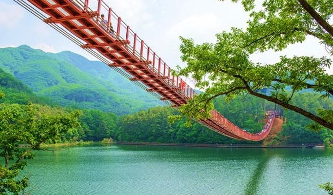DMZ & 吊橋 1 日遊（首爾出發）（拼團/私人）