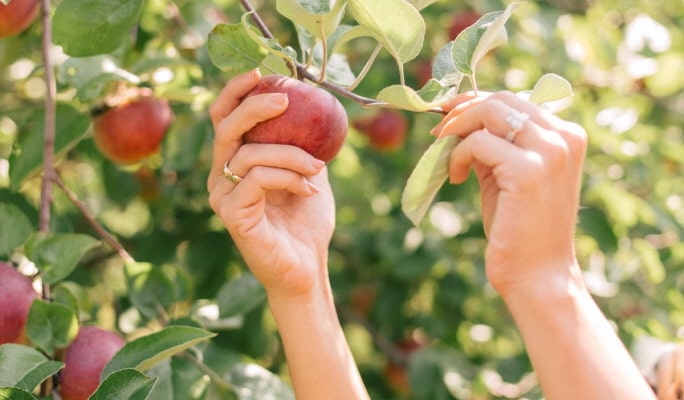 Pocheon Sanjeong Lake + Bidulginang Cascade + Herb Island (+ Apple/Strawberry Farm options) 1 Day Tour - from Seoul