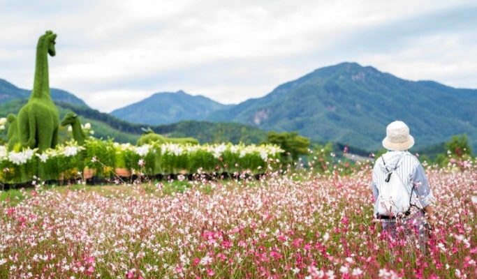 Pocheon Colorful Autumn Tour: Herb Island + Pocheon Garden Festa + Nari Park 1 Day Tour - from Seoul (Sept 4~Oct 20)