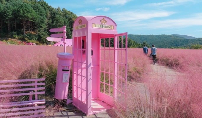 Pocheon Colorful Autumn Tour: Herb Island + Pocheon Garden Festa + Nari Park 1 Day Tour - from Seoul (Sept 4~Oct 20)