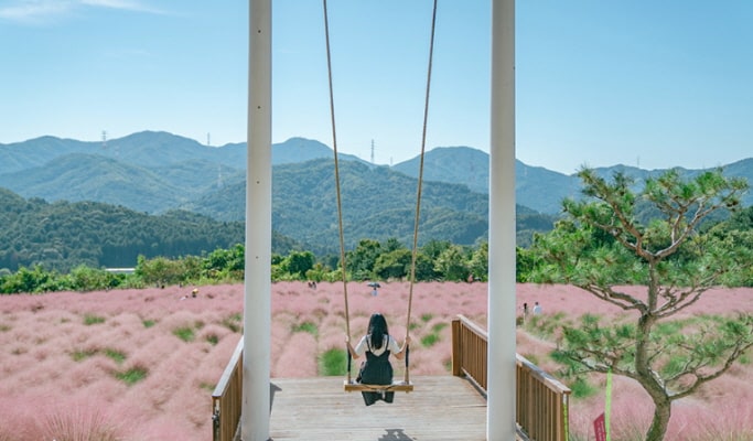 Pocheon Colorful Autumn Tour: Herb Island + Pocheon Garden Festa + Nari Park 1 Day Tour - from Seoul (Sept 4~Oct 20)