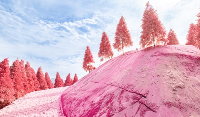 Pocheon Colorful Autumn Tour: Herb Island + Pocheon Garden Festa + Nari Park 1 Day Tour - from Seoul (Sept 4~Oct 20)