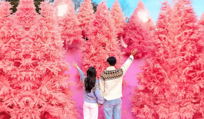 Pocheon Romantic Winter Wonderland Tour from Seoul (Dec 1~Feb 28)