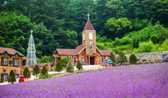 Pocheon Herb Island + Pyunggang Land + Suspension Bridge 1 Day Tour - from Seoul (May 1~Aug 30)