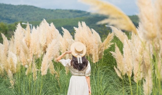 Pocheon Colorful Autumn Tour: Herb Island + Pocheon Garden Festa + Nari Park 1 Day Tour - from Seoul (Sept 4~Oct 20)