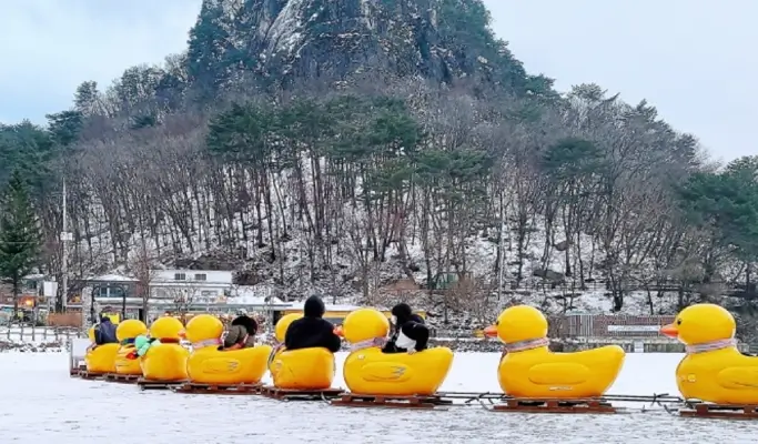 Pocheon Romantic Winter Wonderland Tour from Seoul (Dec 1~Feb 28)