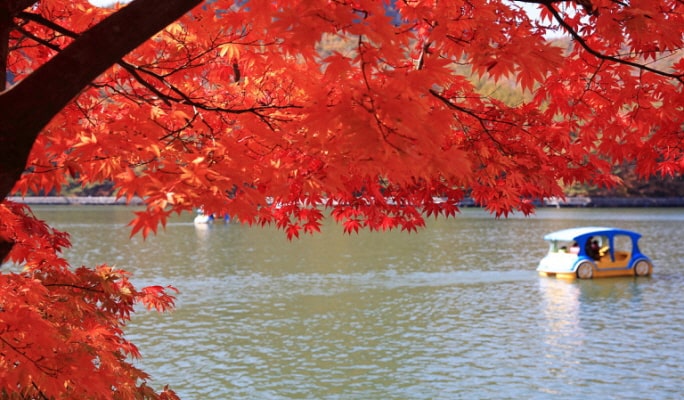 Pocheon Sanjeong Lake + Bidulginang Cascade + Herb Island (+ Apple/Strawberry Farm options) 1 Day Tour - from Seoul
