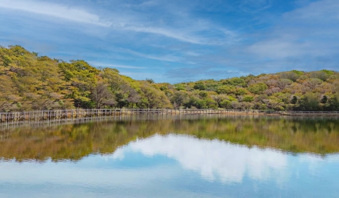 Pocheon Sanjeong Lake + Bidulginang Cascade + Herb Island (+ Apple/Strawberry Farm options) 1 Day Tour - from Seoul