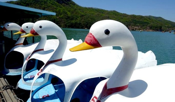 抱川私人包車之旅：山井湖水＆香草島