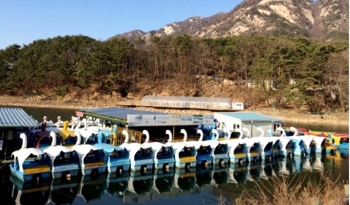 抱川私人包車之旅：山井湖水＆香草島