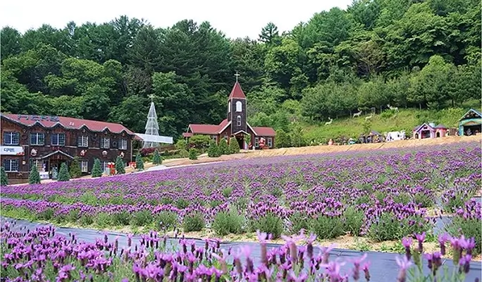 Pocheon Sanjeong Lake + Bidulginang Cascade + Herb Island (+ Apple/Strawberry Farm options) 1 Day Tour - from Seoul