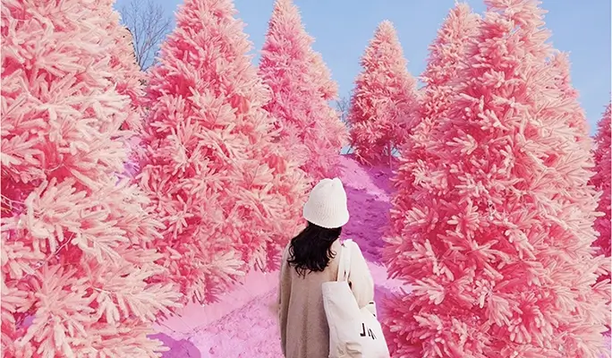 Pocheon Sanjeong Lake + Bidulginang Cascade + Herb Island (+ Apple/Strawberry Farm options) 1 Day Tour - from Seoul