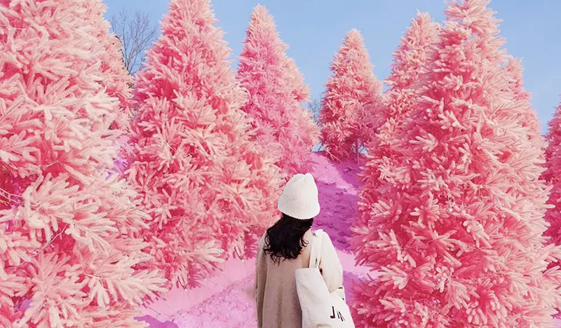 Pocheon Sanjeong Lake + Bidulginang Cascade + Herb Island (+ Apple/Strawberry Farm options) 1 Day Tour - from Seoul