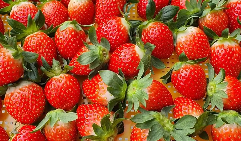 Pocheon Sanjeong Lake + Bidulginang Cascade + Herb Island (+ Apple/Strawberry Farm options) 1 Day Tour - from Seoul - view 2