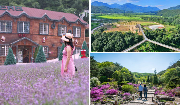 Pocheon Herb Island + Pyunggang Land + Suspension Bridge 1 Day Tour - from Seoul (May 1~Aug 30)