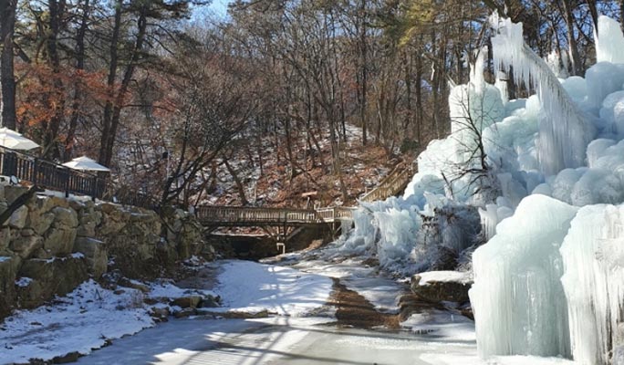Seoul Vicinity: Pocheon Art Valley + Garden of Morning Calm + Strawberry/Apple Farm 1 Day Tour (EG Tour)