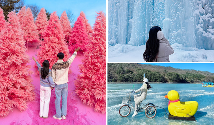 Pocheon Romantic Winter Wonderland Tour from Seoul (Dec 1~Feb 28)