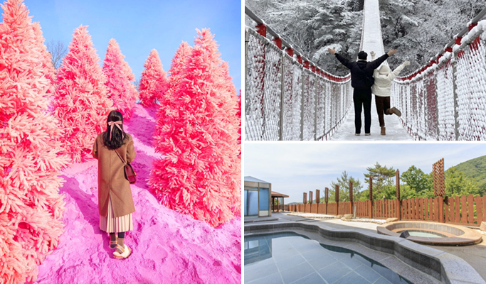 Pocheon Romantic Winter Wonderland Tour from Seoul (Dec 1~Feb 28)