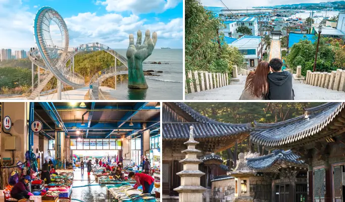 Explore 5 Pohang Highlights in 1 Day from Busan