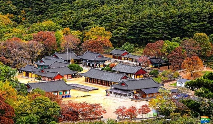 Gyeongbuk Pohang Mt. Naeyeonsan Hiking Tour from Daegu
