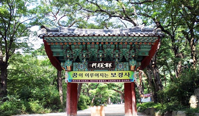 Gyeongbuk Pohang Mt. Naeyeonsan Hiking Tour from Daegu