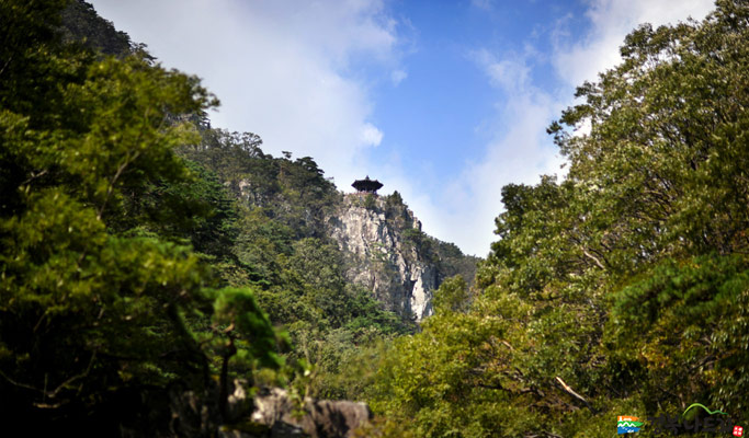Gyeongbuk Pohang Mt. Naeyeonsan Hiking Tour from Daegu