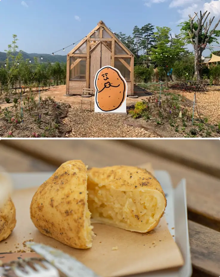 Golden-brown potato bread served at the Potato Field Cafe in Chuncheon.
