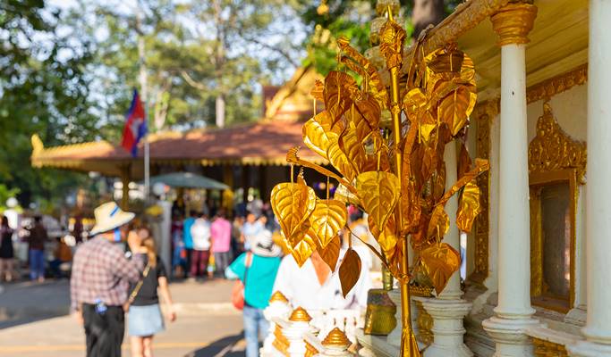Siem Reap City Sightseeing Afternoon Tour (Half Day)