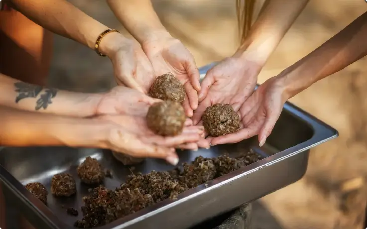 Visitors preparing fresh fruits and vegetables to feed elephants at Pattaya Elephant Jungle Sanctuary