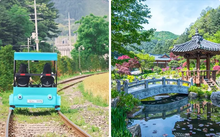 Rail bike on the left, spring flowers at the Garden of Morning Calm on the right
